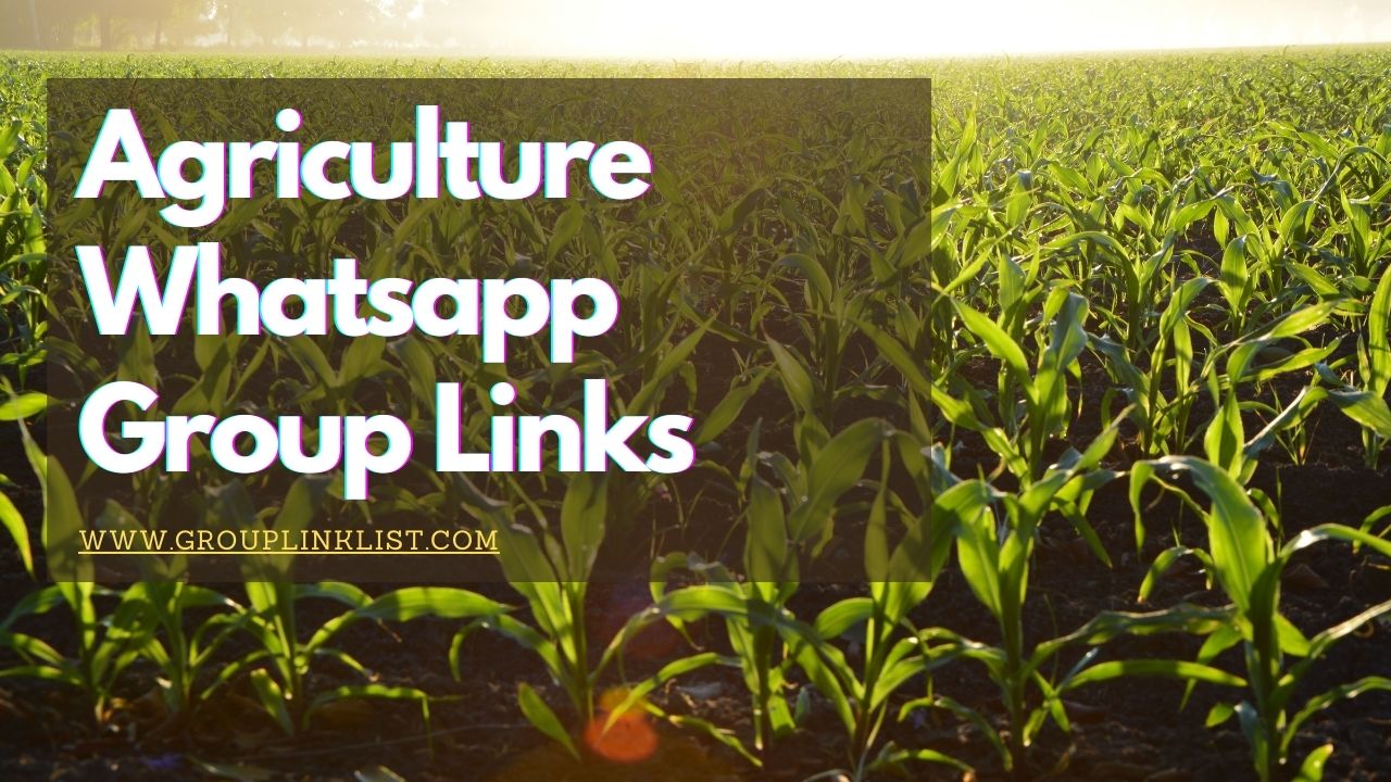 Agriculture whatsapp group links,Agriculture whatsapp group link,Agriculture group,Agriculture group,Agriculture whatsapp group,